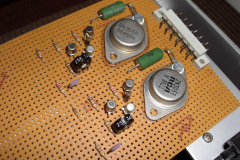 emuf19zoll_electronicfuse1